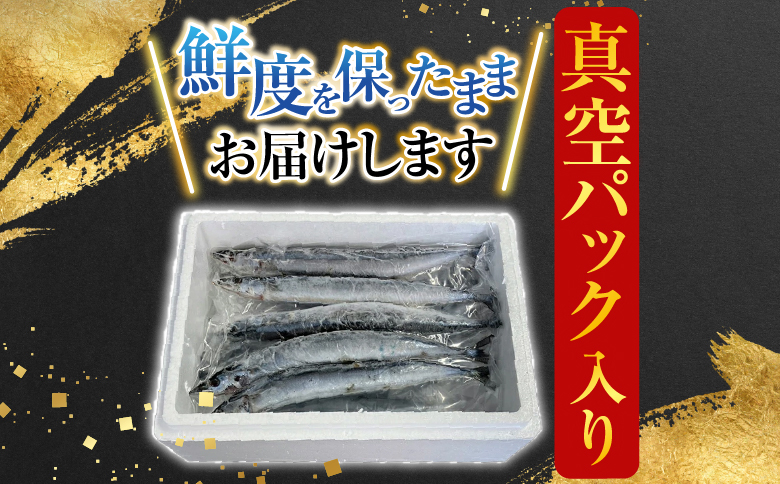 【北海道根室産】冷凍さんま40尾 C-36002