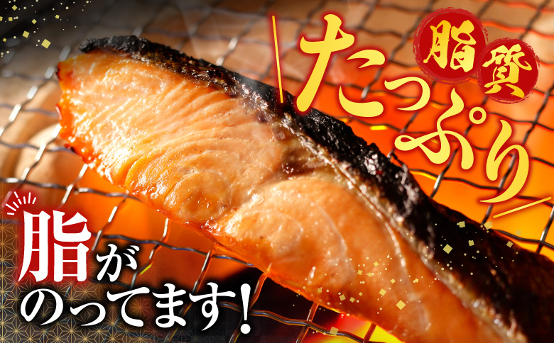 【北海道根室産】時しらず鮭切身600g×2P C-42100