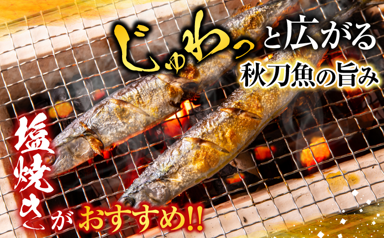 甘塩紅鮭5切×4P ・冷凍生さんま5尾入×4P C-70015