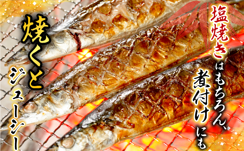 冷凍さんま・ほたて貝柱セット C-70038