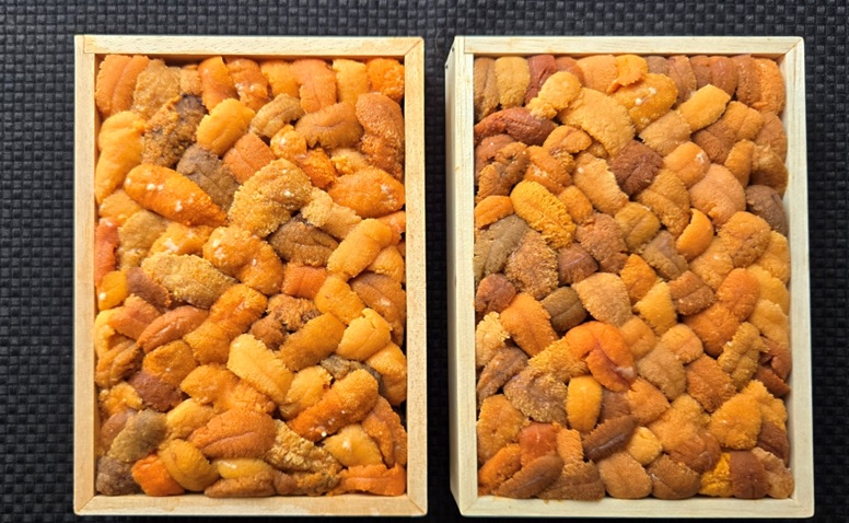 エゾバフンウニバラ詰め(赤系)約250g×1折[2026年3月上旬以降発送] C-71028