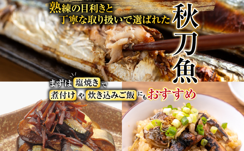 冷凍さんま5尾×5P、ほたて貝柱200g×2P C-76030