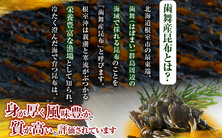 【北海道根室産】むすび昆布煮付95g×14缶 C-78020