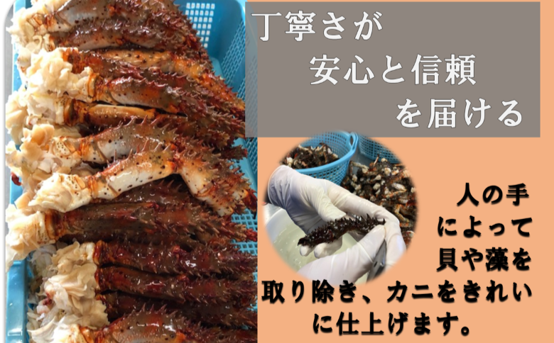 ＜12月21日決済分まで年内配送＞花咲がに鉄砲汁425g×3缶、旬さんま水煮190g×6缶 C-78025