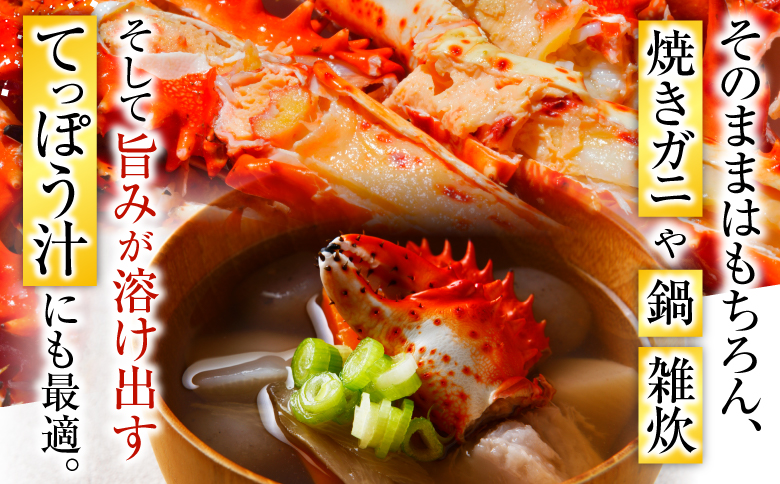 ＜12月14日決済分まで年内配送＞【北海道根室産】花咲かに800g×3尾(計2.4kg) D-20012