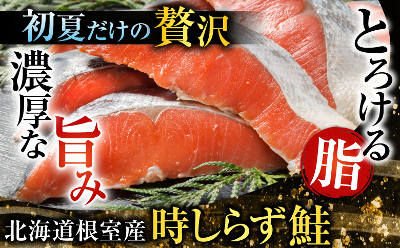 【北海道根室産】時しらず鮭1.5kg×1P・いくら醤油漬け80g×6P D-42067