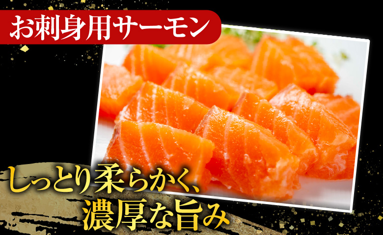 お刺身トラウトサーモン2～5本(計1kg)＆鮭とば100g×9P F-09026