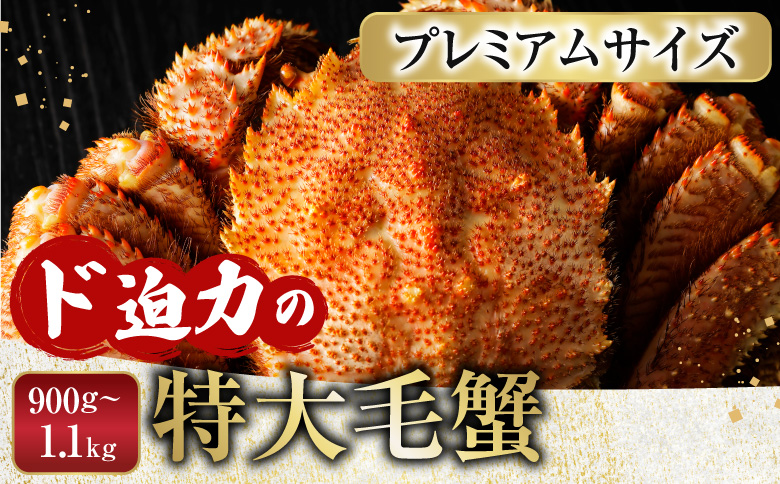 ボイル毛がに900g～1.1kg×1尾 F-11029