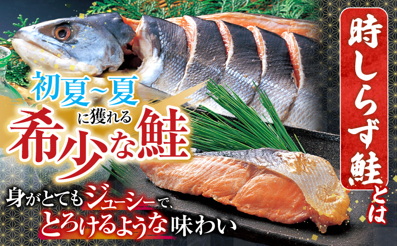 【北海道根室産】時しらず鮭1.5kg×1P・いくら醤油漬け50g×1P F-42013