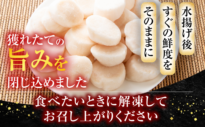 ＜12月10日決済分まで年内配送＞刺身用ほたて貝柱250g G-11052