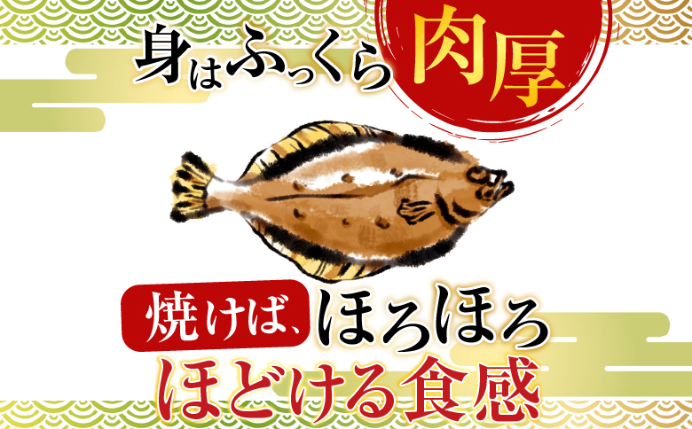【北海道根室産】一夜干し宗八かれい12枚 G-14006