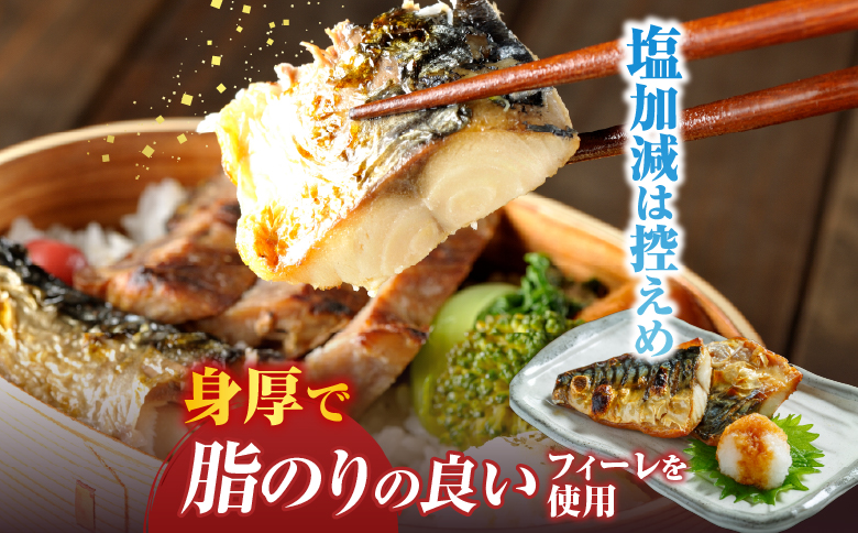 無添加天然サバフィーレ10枚 G-14022