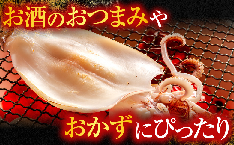 いか一夜干し2枚 G-14079