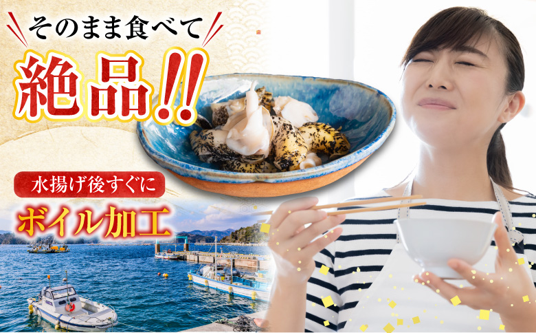 【北海道根室産】灯台つぶ200g×2P(計400g) G-20002