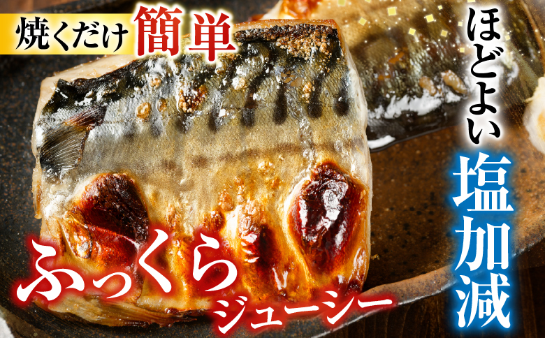 根室海鮮市場＜直送＞塩さばフィーレ11枚入×1P(計約1.5kg) G-28021