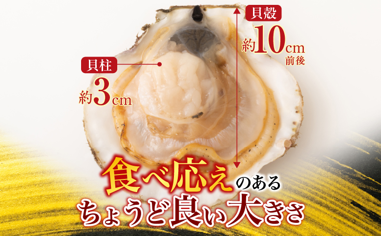 根室海鮮市場＜直送＞片貝ほたて10枚 G-28044