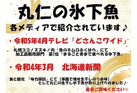 【12/31決済分まで1月中配送】 【北海道根室産】氷下魚セット G-50009