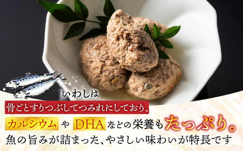 ＜12月21日決済分まで年内配送＞【北海道根室産】真いわしつみれ水煮160g×5缶 G-78009