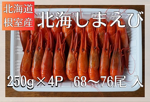 【北海道根室産】北海しまえび1kg B-12001