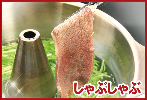 ＜12月21日決済分まで年内配送＞【北海道根室産】鹿肉(焼肉・すき焼・しゃぶしゃぶ用)600g A-07016