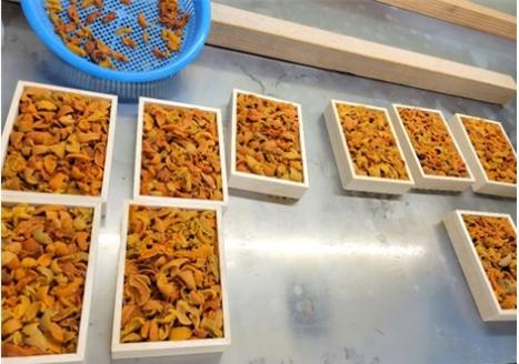 エゾバフンウニ(赤系)150g×1折 A-71043