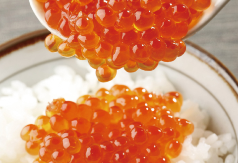 醤油いくら140g×2P・辛子明太子140g×1P B-16069