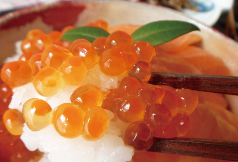 塩いくら140g×2P・たらこ140g×1P B-16088