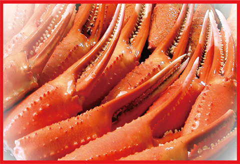 ＜12月21日決済分まで年内配送＞ボイル紅ずわいがに爪1kg×2P B-07005