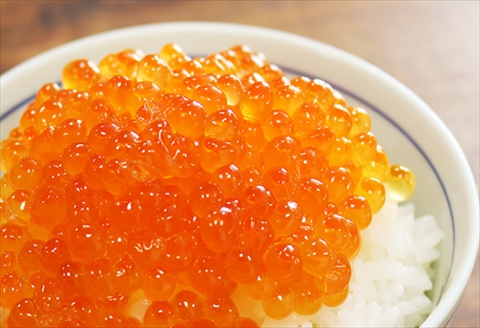 【北海道根室産】醤油いくら500ｇ B-32024