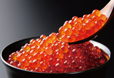 切れ辛子明太子2kg・醤油いくら500g D-16015