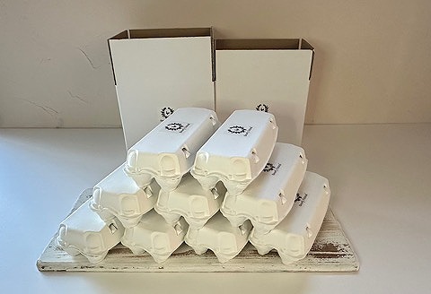 【北海道根室産】美波里のたまご10個入×9P(計90個) ＜12月7日決済分まで年内配送＞D-39001