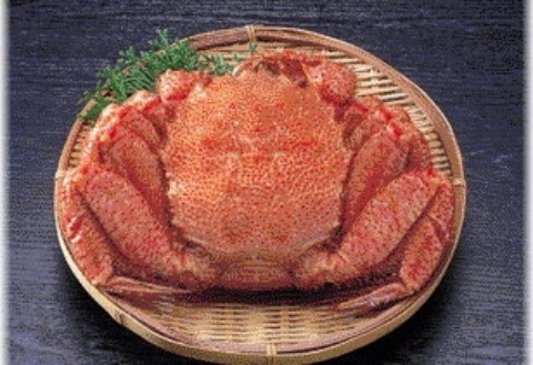 毛蟹600g×3尾 D-66013