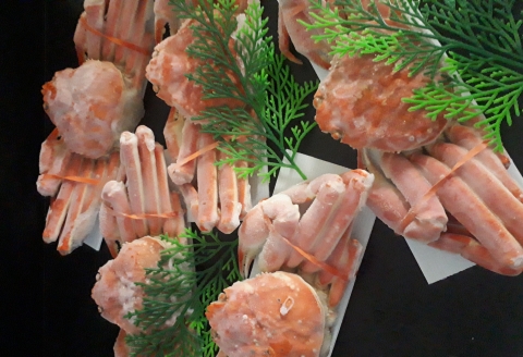 ずわい蟹600g×5尾 D-66014