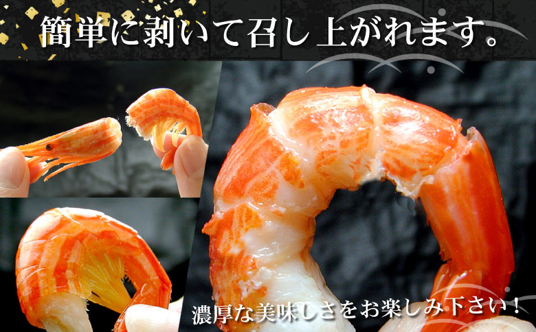 ＜12月21日決済分まで年内配送＞【北海道根室産】北海シマエビ800g(80～130尾) A-07012
