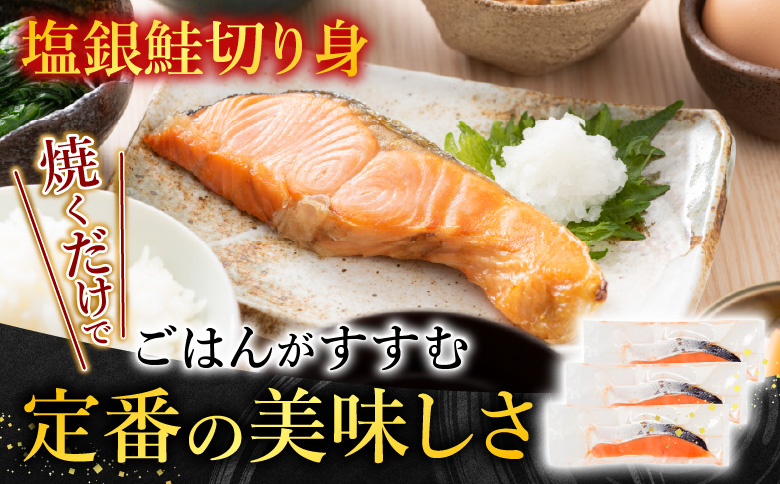 お刺身トラウトサーモン1～2本(計400g)＆塩銀鮭切り身1切(約70g)×10P A-09122