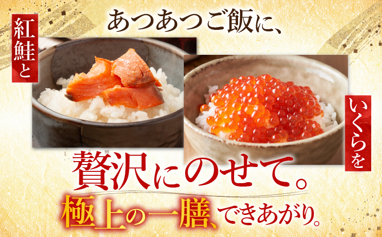 醤油いくら200g・紅鮭切身8切セット A-10045