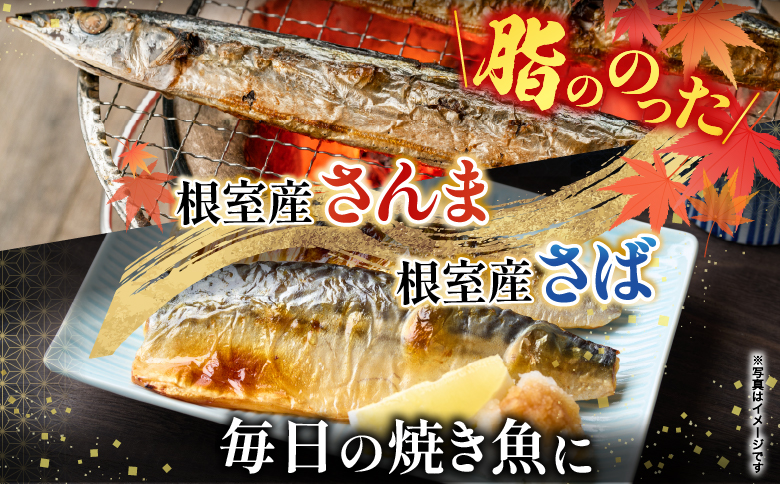【北海道根室産】さんま・さば・唐揚げ用たこ・たこ刺身セット A-19014