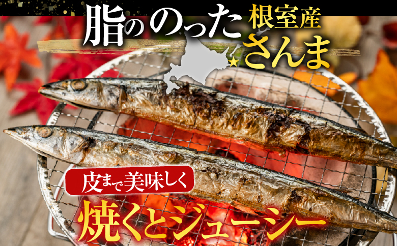 【北海道根室産】冷凍生さんま500g×4P（計2kg） A-19016