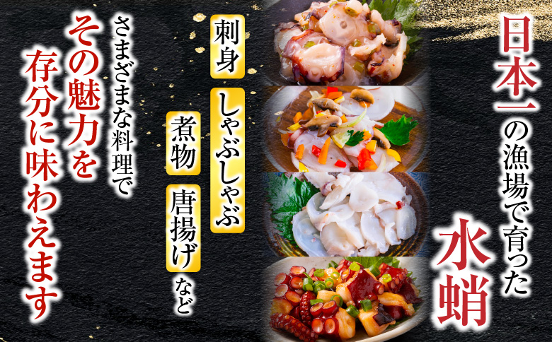 ＜12月14日決済分まで年内配送＞【北海道根室産】ボイルたこ足(水蛸)ブロック3切(計1kg前後) A-20003