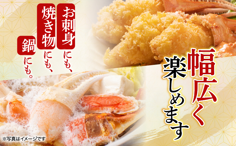 根室海鮮市場＜直送＞生食用本ズワイガニ爪ポーション500g(お刺身・かにしゃぶ・フライ等) A-28224