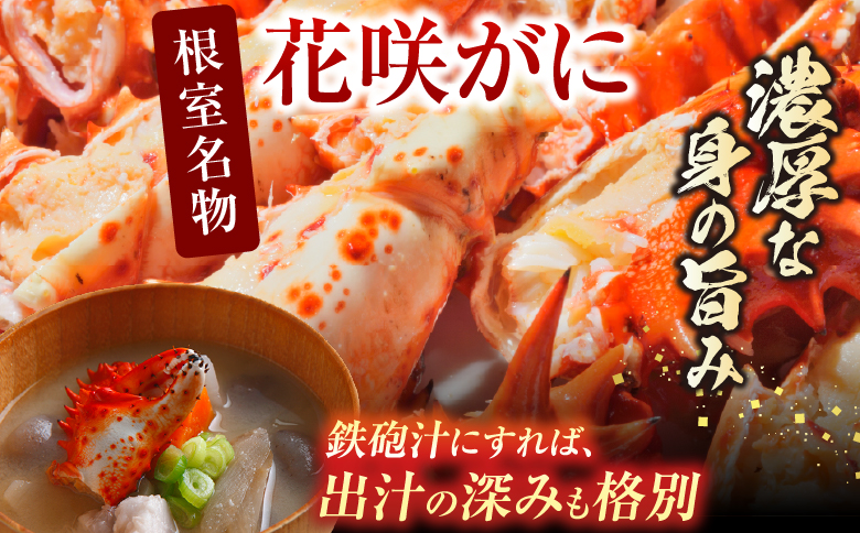 【北海道根室産】花咲かに2尾・冷凍さんま5尾セット A-36004