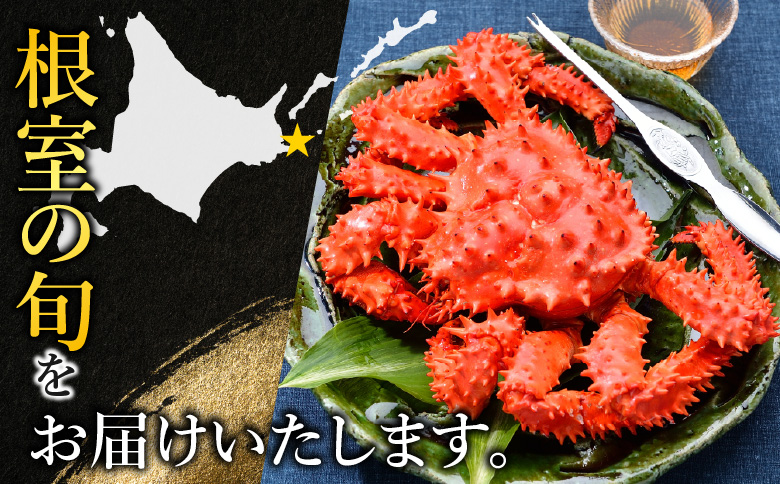 ＜12月21日決済分まで年内配送＞【北海道根室産】＜鮭匠ふじい＞ボイル花咲がに2～3尾(計約1kg) A-42084