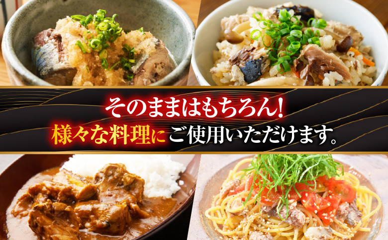 ＜12月21日決済分まで年内配送＞【北海道根室産】さば水煮180g×12缶 A-42106