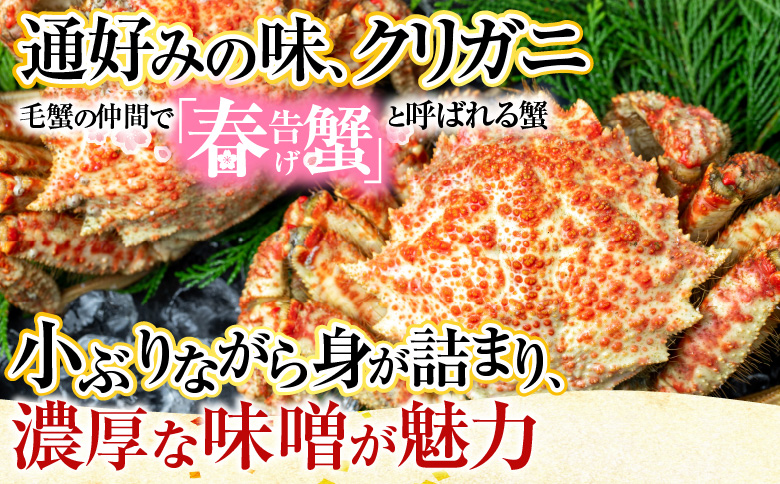 ＜12月21日決済分まで年内配送＞【北海道根室産】花咲ガニとクリガニセット5～6尾(計1.5kg前後) A-57015