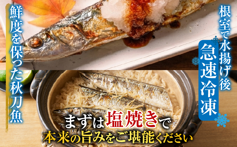 【北海道根室産】花咲かに2尾・冷凍さんま5尾セット A-70004