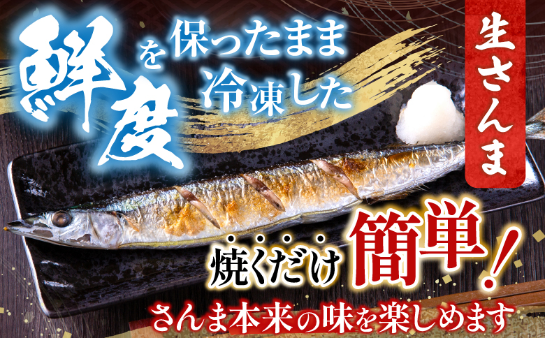 甘塩紅鮭5切×2P・冷凍生さんま5尾×2P A-76008