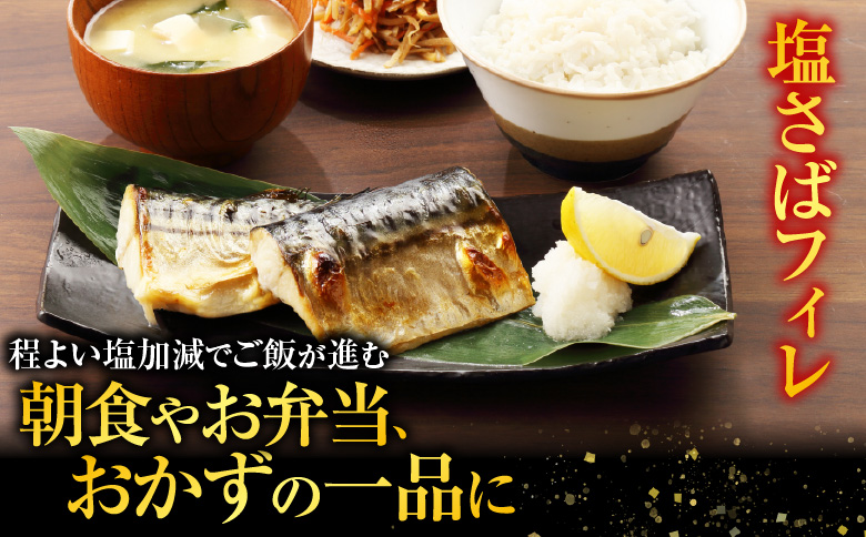 お刺身トラウトサーモン1kg、塩さばフィレ1枚×15P B-09054