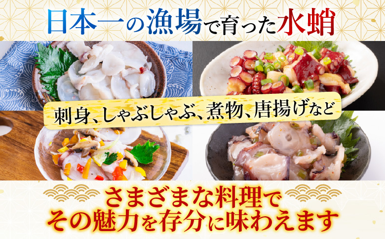 ＜12月14日決済分まで年内配送＞【北海道根室産】水たこ足2本、たこ頭1切 F-20004