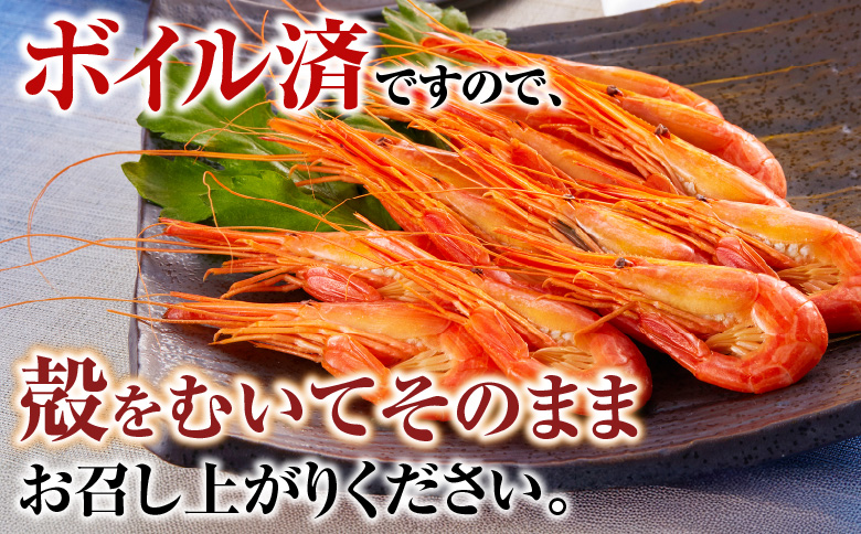 ＜12月21日決済分まで年内配送＞【北海道根室産】ボイル北海シマエビ600g B-42086