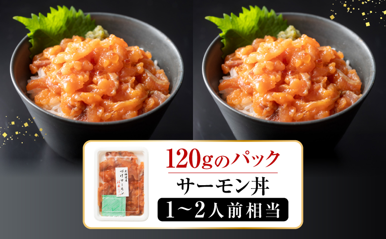 ＜12月21日決済分まで年内配送＞【北海道根室産】漬けサーモン 120g×8P B-42098